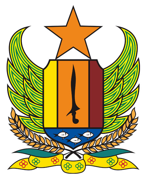 Logo Pamsimas